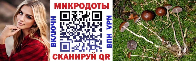 hydra маркетплейс  маркетплейс состав  Ясногорск  Галлюциногенные грибы Magic Shrooms  хочу  